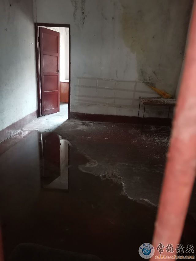 触屏版