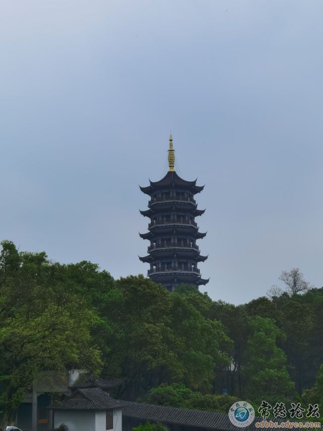 触屏版