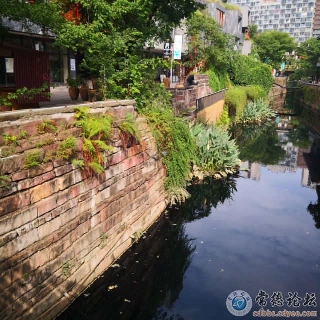 触屏版