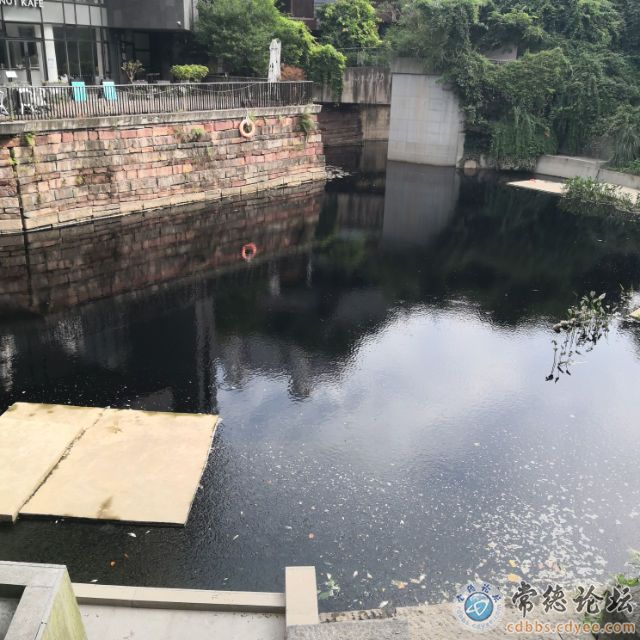 触屏版