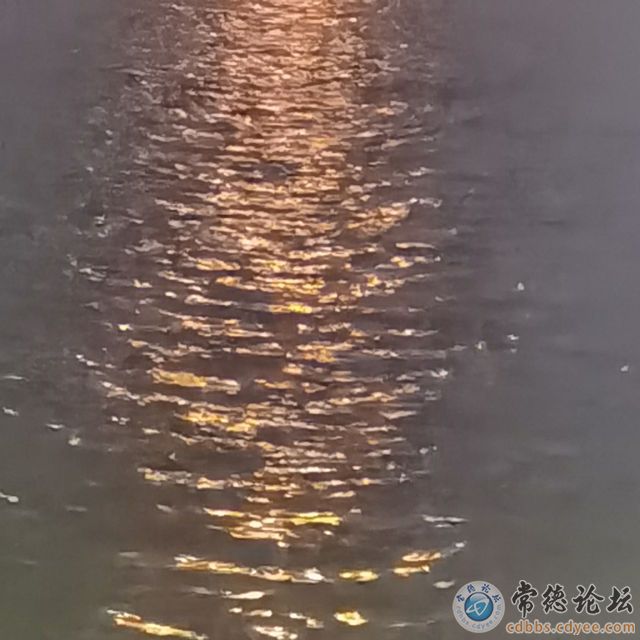 触屏版