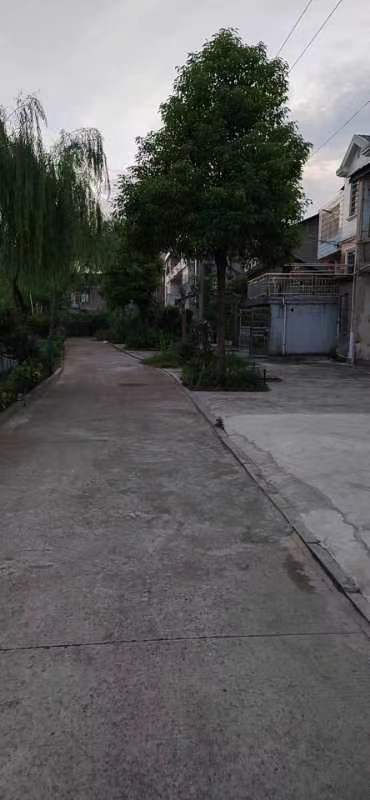 触屏版