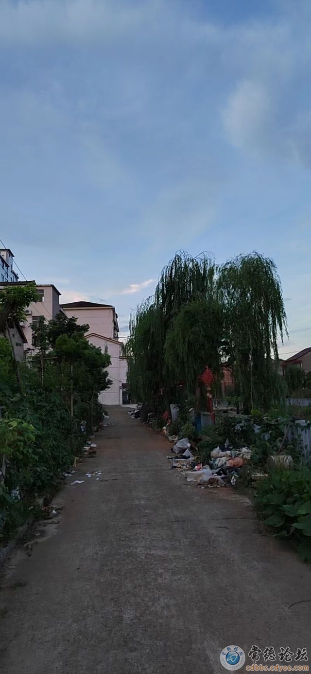 触屏版