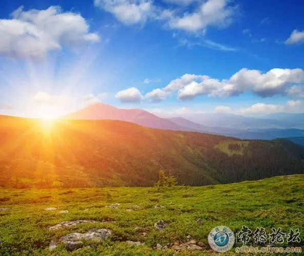 触屏版
