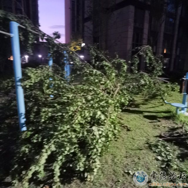 触屏版
