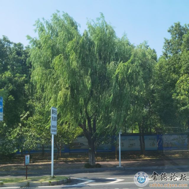 触屏版