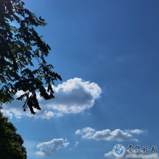 触屏版