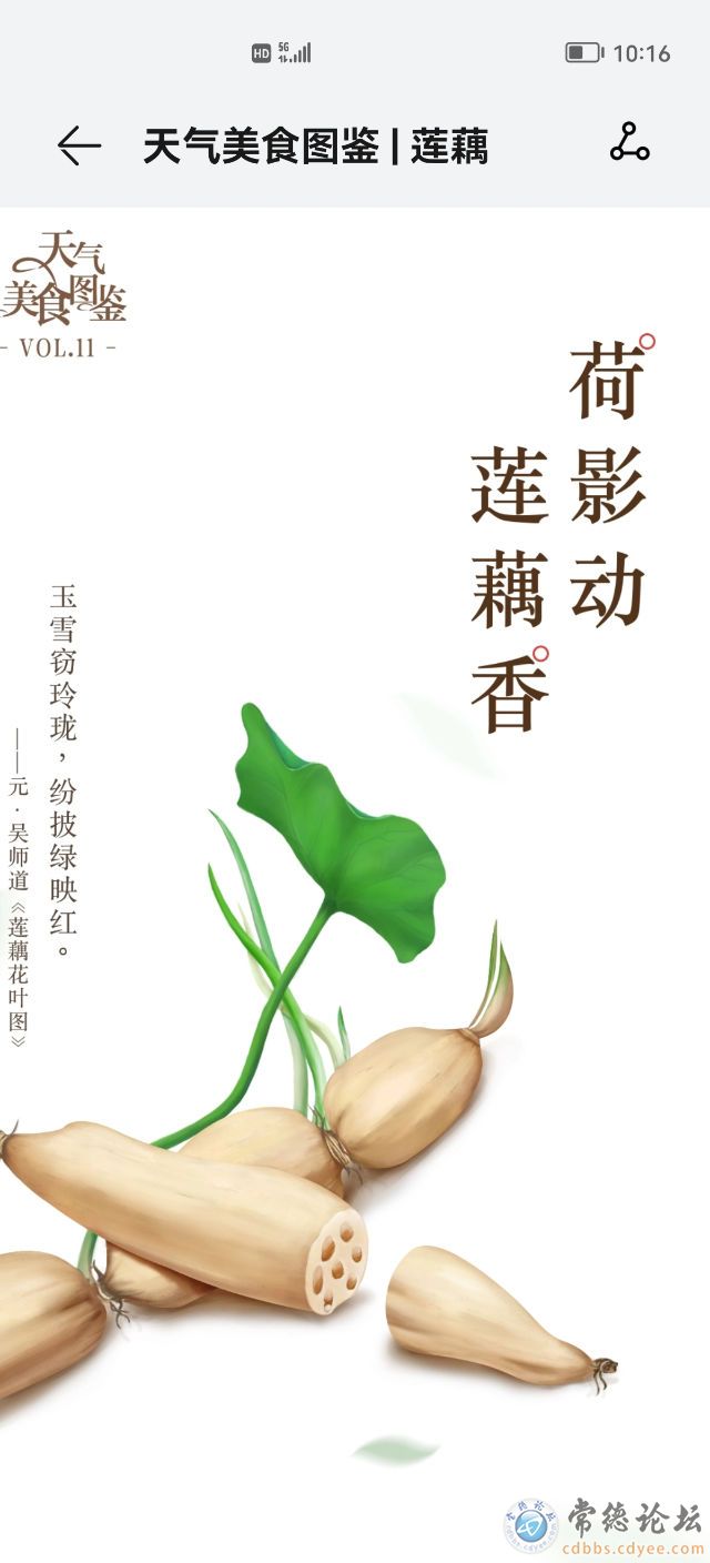 触屏版