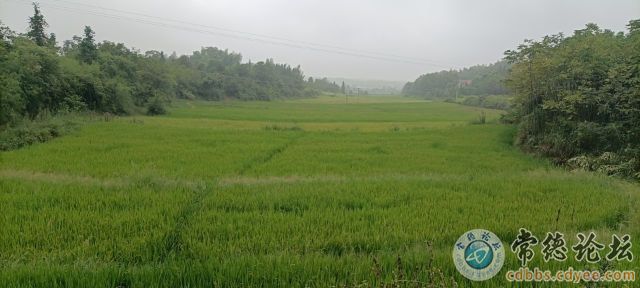 触屏版