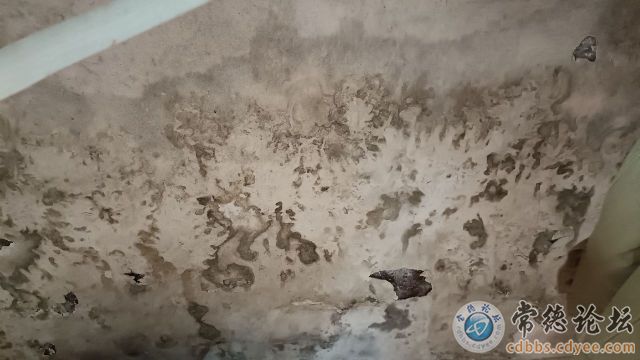 触屏版