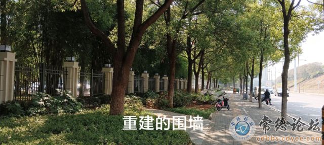 触屏版