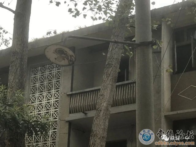 触屏版