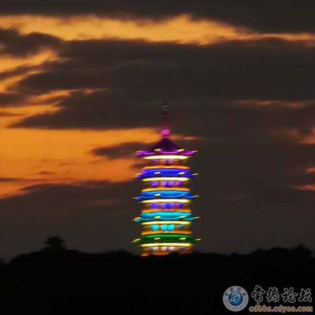 触屏版