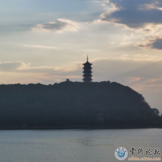 触屏版
