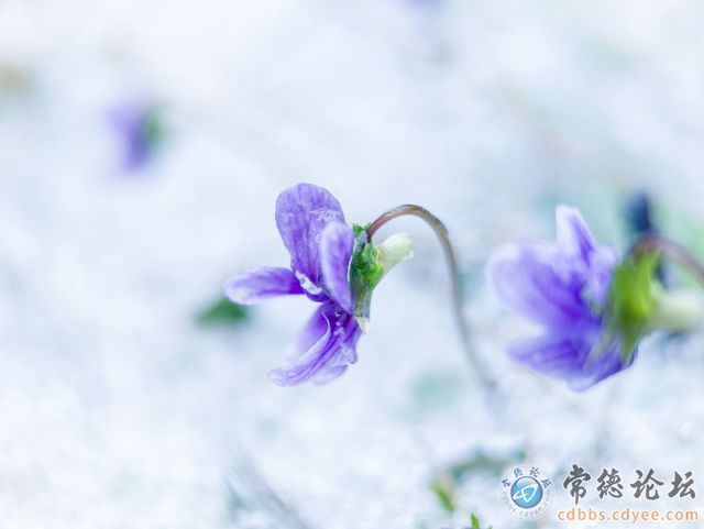 触屏版