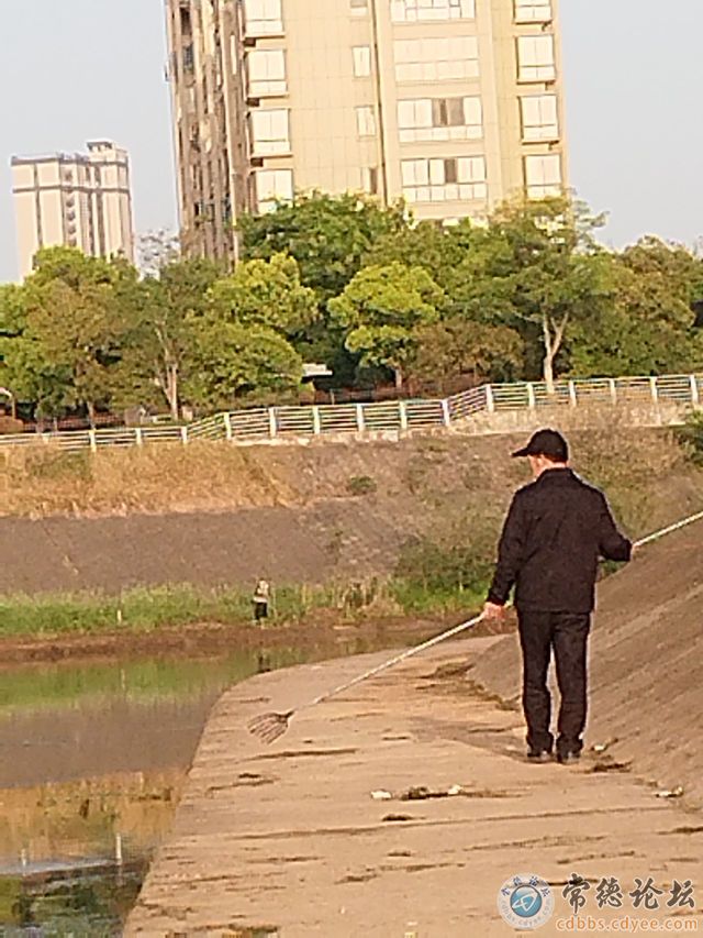 触屏版