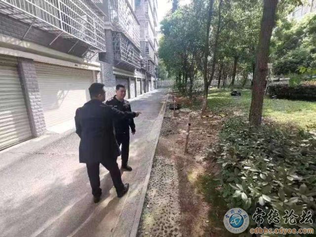 触屏版