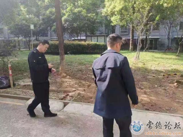 触屏版