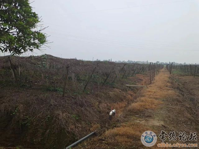 触屏版