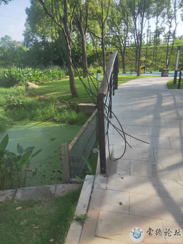 触屏版