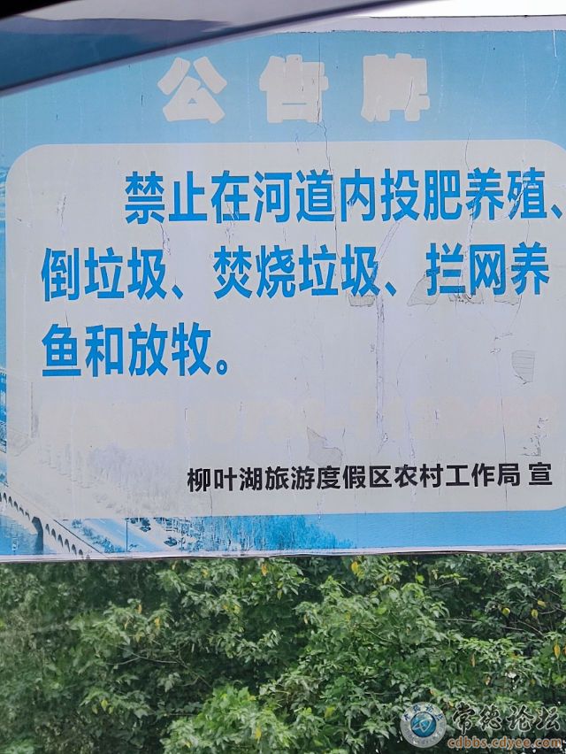 触屏版
