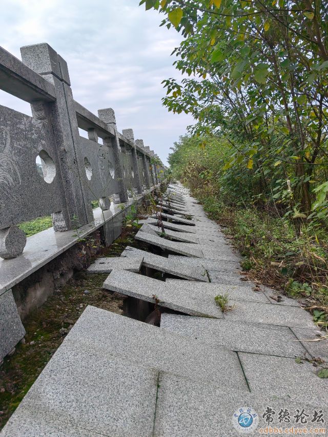 触屏版