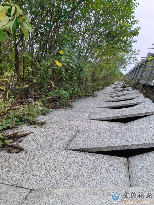 触屏版