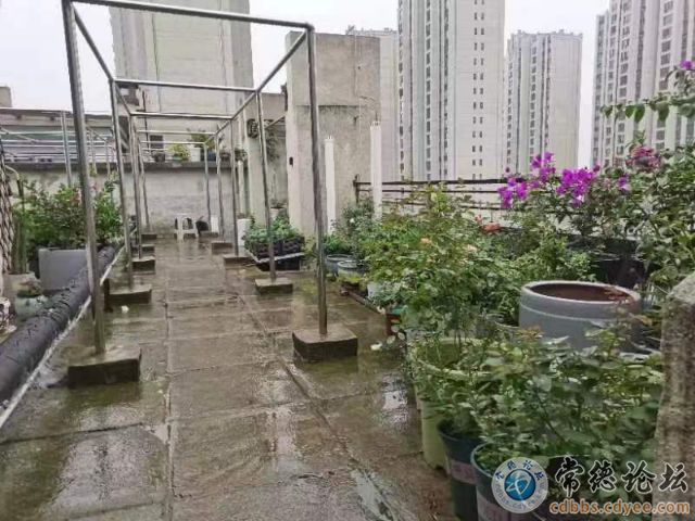 触屏版
