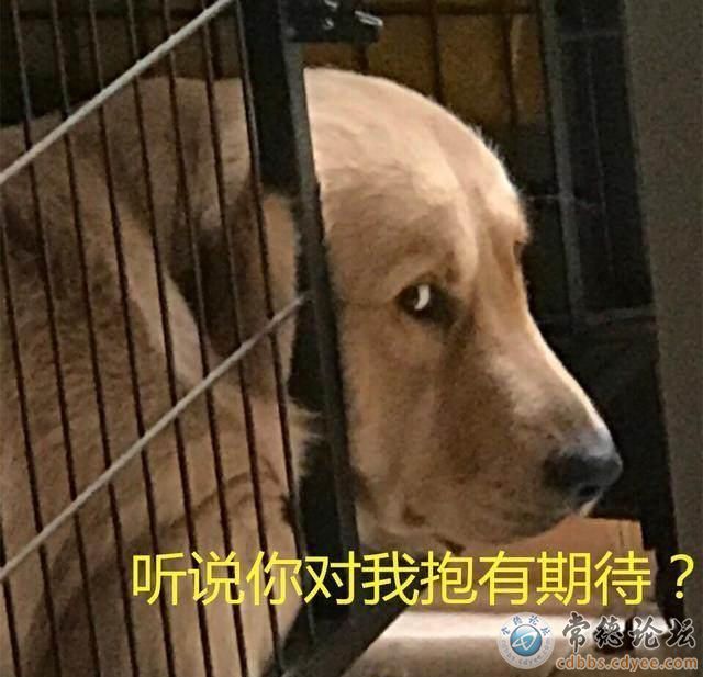 触屏版