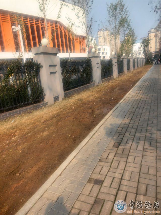触屏版