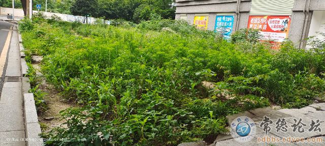 触屏版