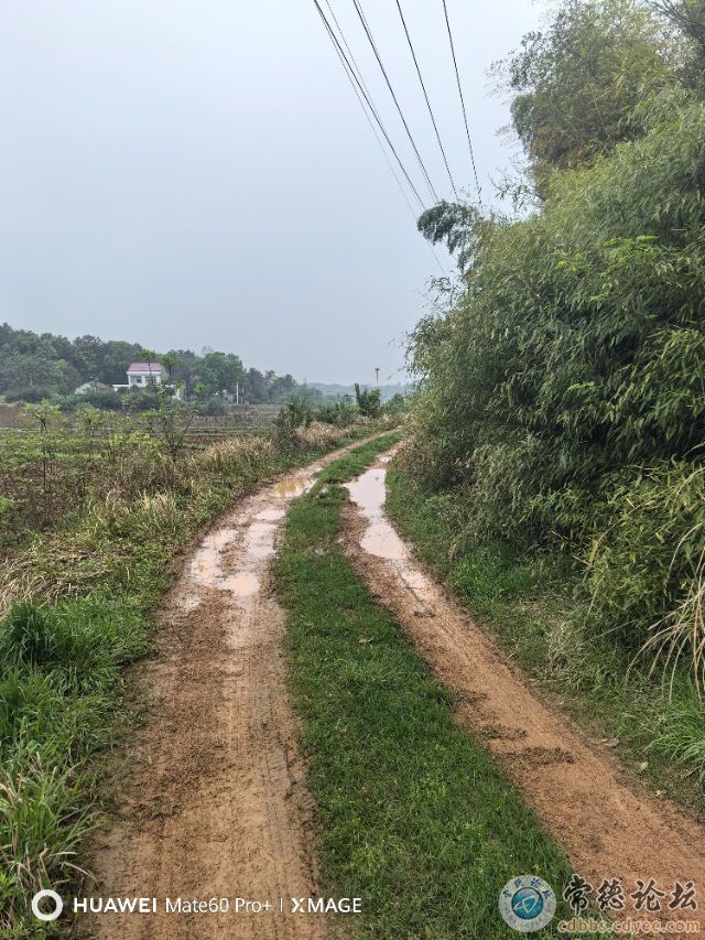 触屏版