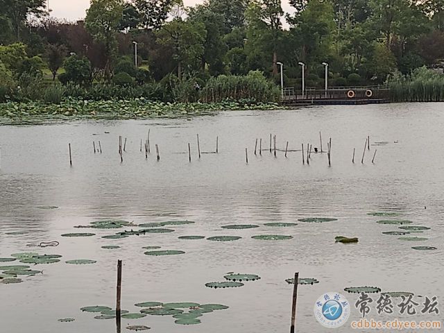 触屏版