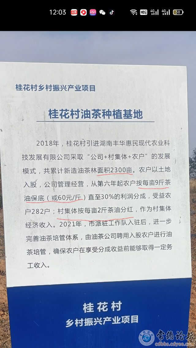 触屏版