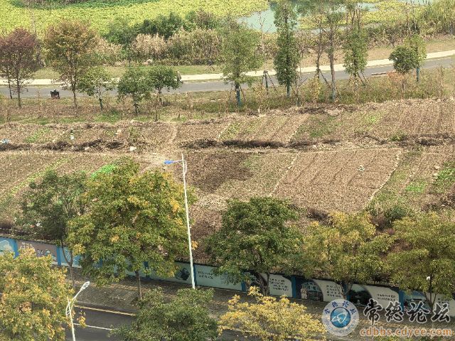 触屏版