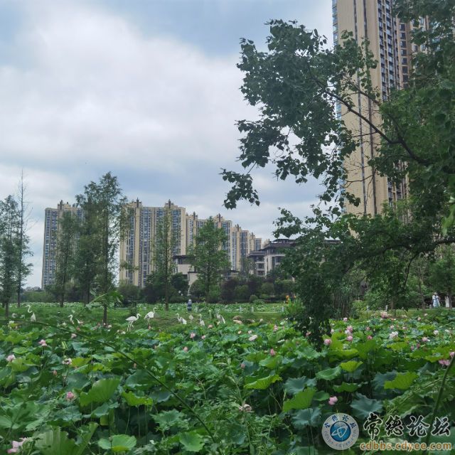 触屏版
