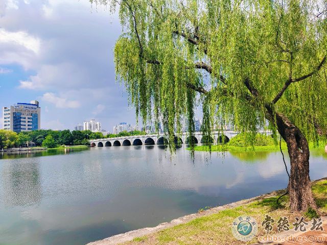 触屏版