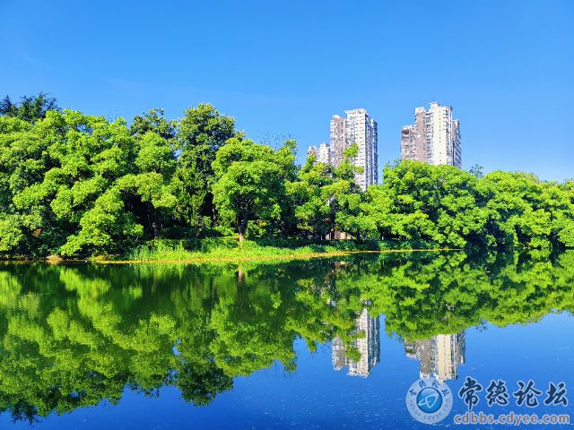 触屏版