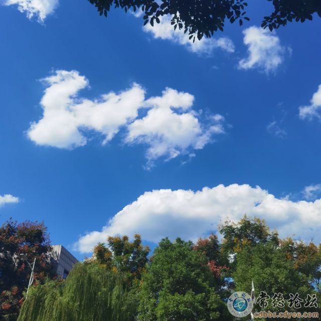 触屏版