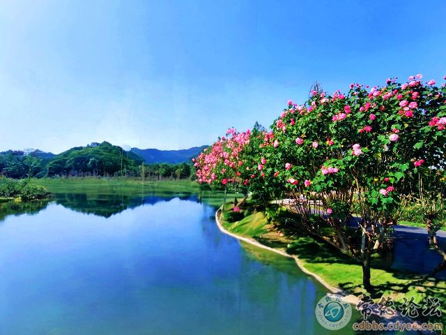 点击查看原图 触屏版