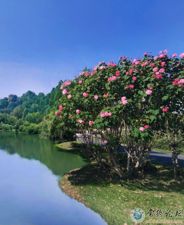 点击查看原图 触屏版