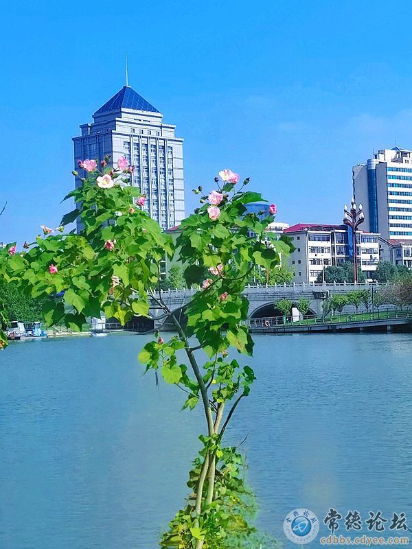 点击查看原图 触屏版