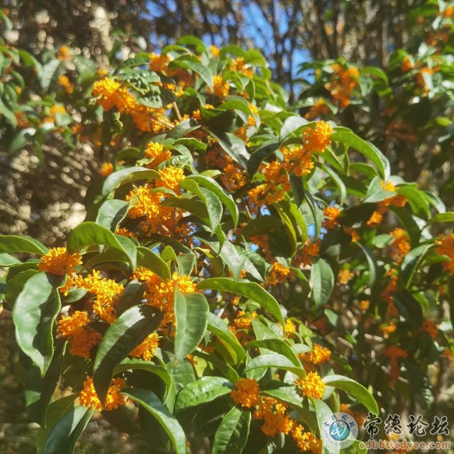 点击查看原图 触屏版