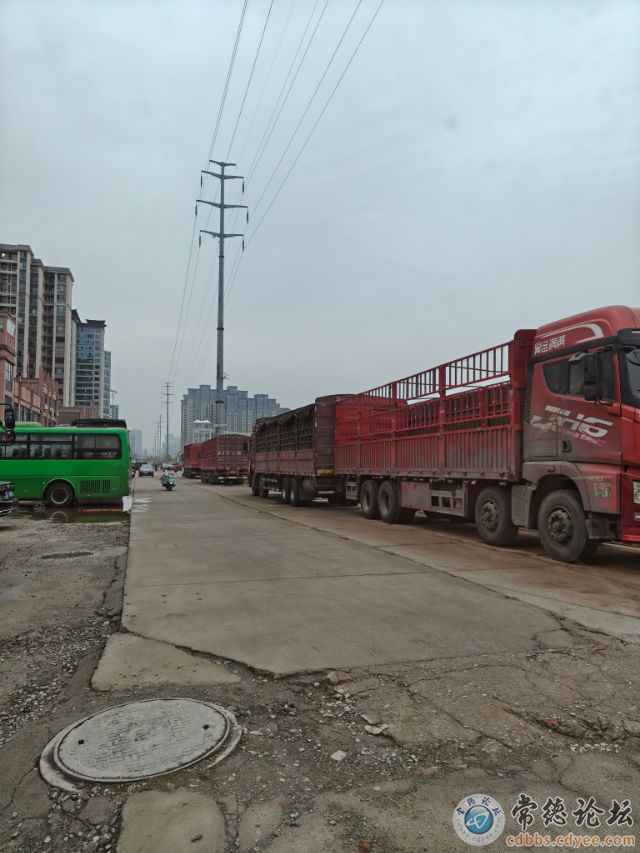 点击查看原图 触屏版