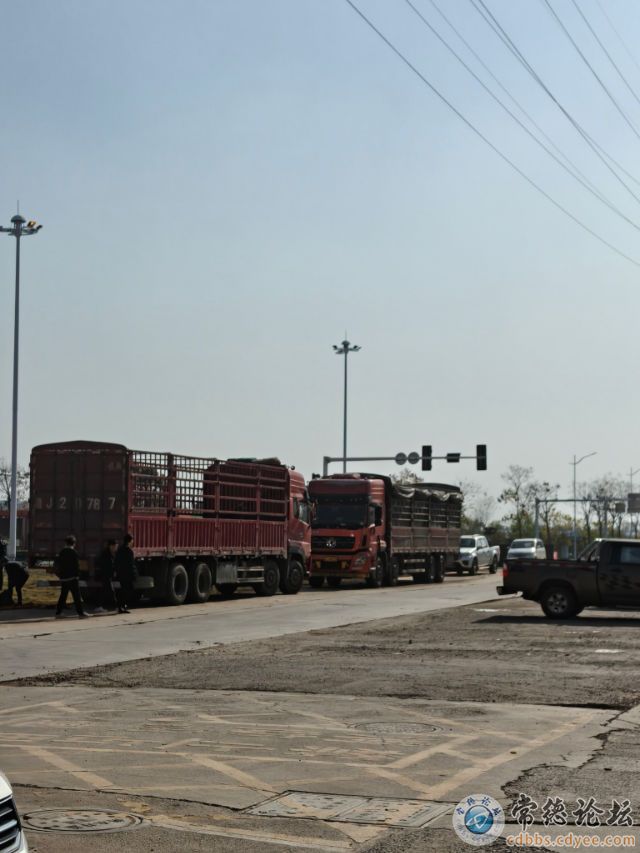 点击查看原图 触屏版