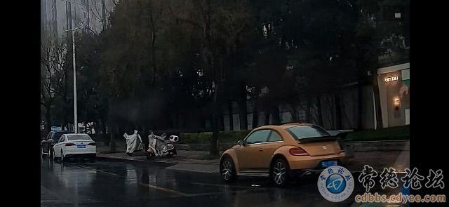 点击查看原图 触屏版