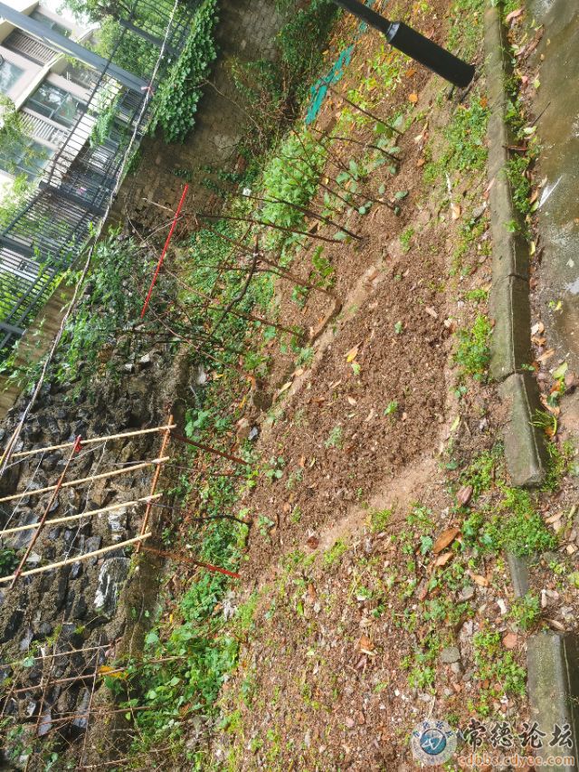 触屏版