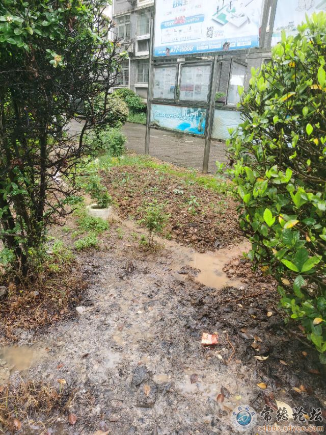 触屏版