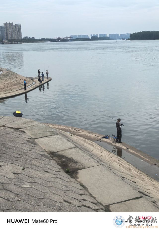 触屏版