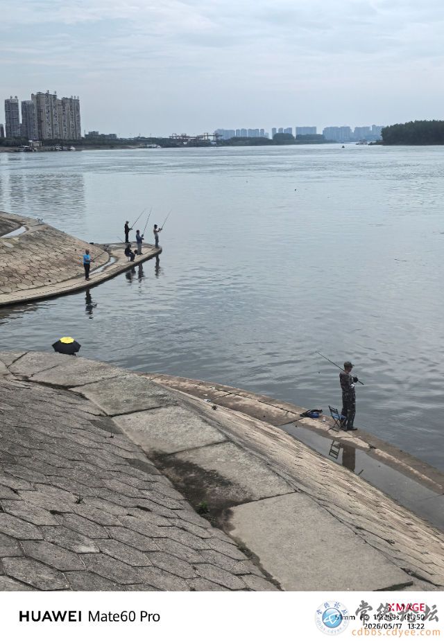 触屏版